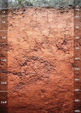 Clasificación del Suelo
