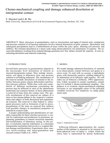 Más sobre Modelos Numéricos en Geomecánica - NUMOG IX - Pande & Pietruszczak (eds).