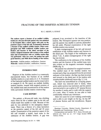 Más sobre La Influencia de las Fracturas Geológicas en las Soluciones Geotécnicas