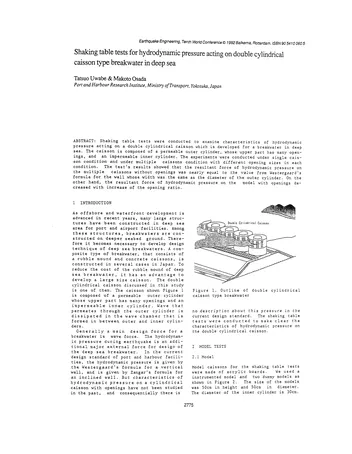 Más sobre Pruebas en Mesa Vibratoria para Presión Hidrodinámica